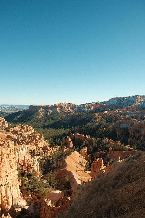 Looking out over a canyon of orange rock spires